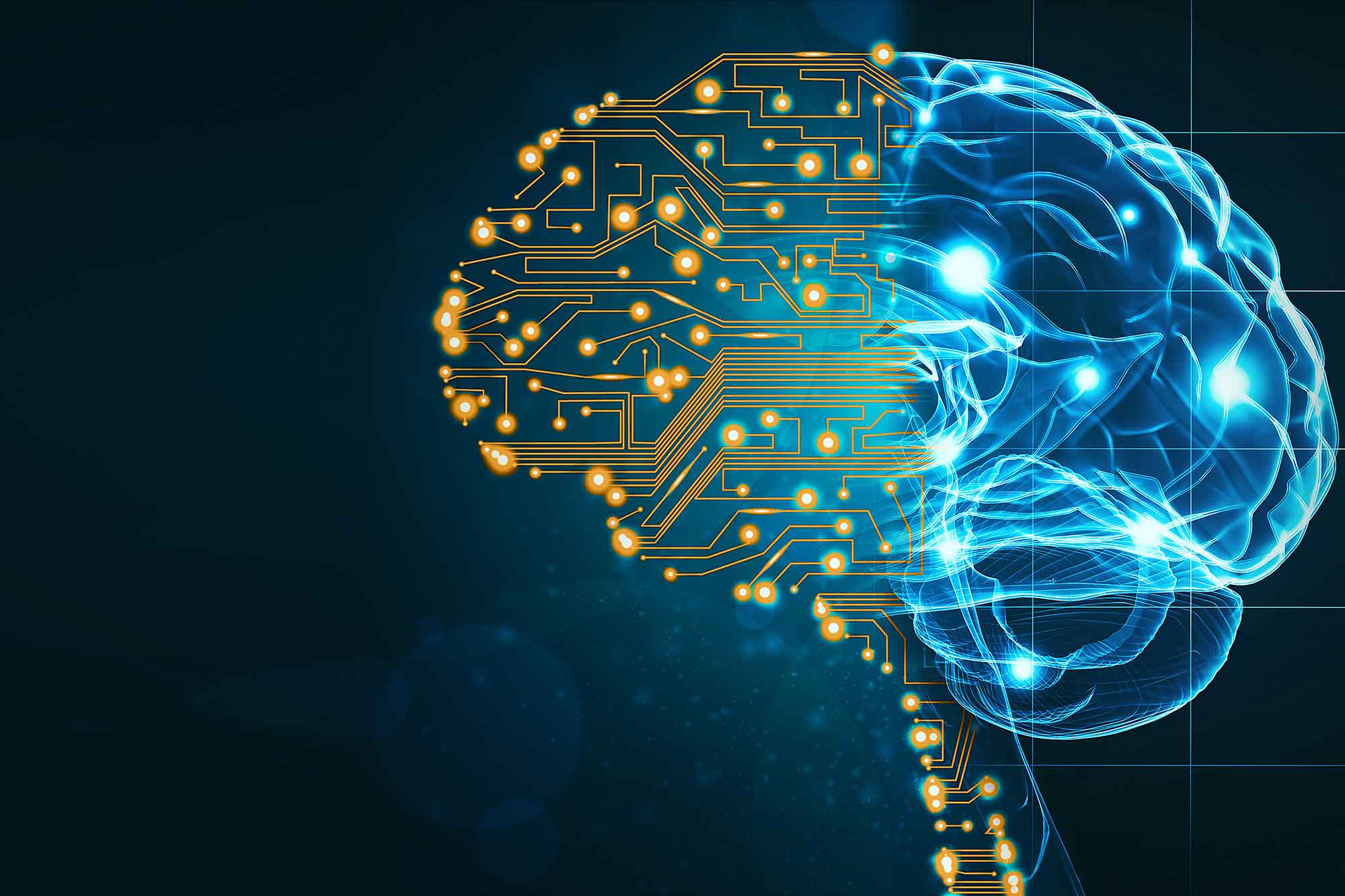 Brain theory. Brain theory