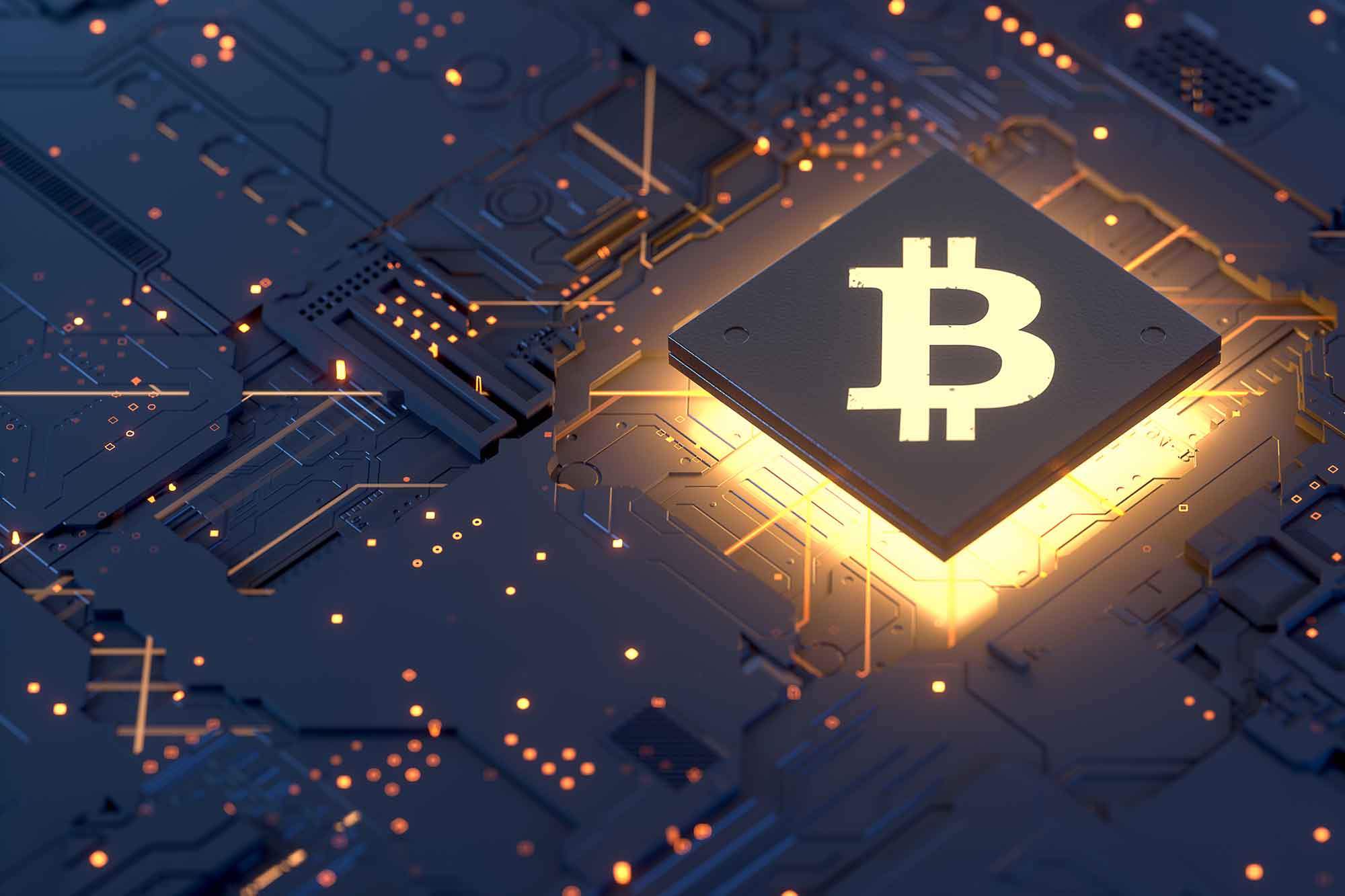 Bitcoin & Friends: Return of the crypto-currencies